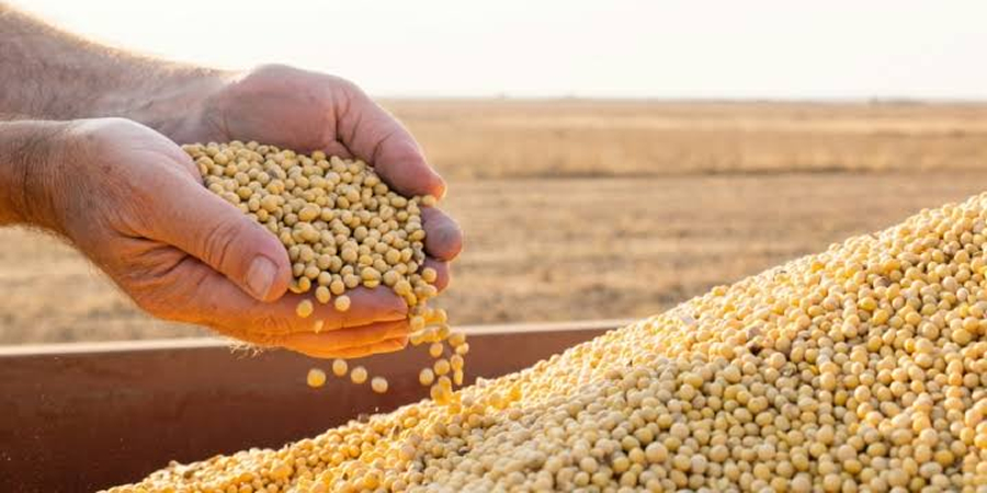 Brazil targets record soybean exports of 116.3 million tonnes in 2026 as China shifts purchases away from the US