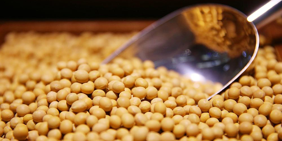 Seven Brazilian cooperatives launch Paraná's largest soybean crushing joint venture