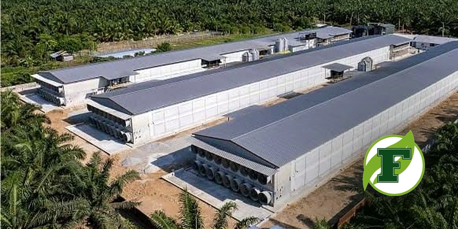 Malaysia Farmiera posts RM3.48mil net profit in 2Q26 as poultry demand stays resilient