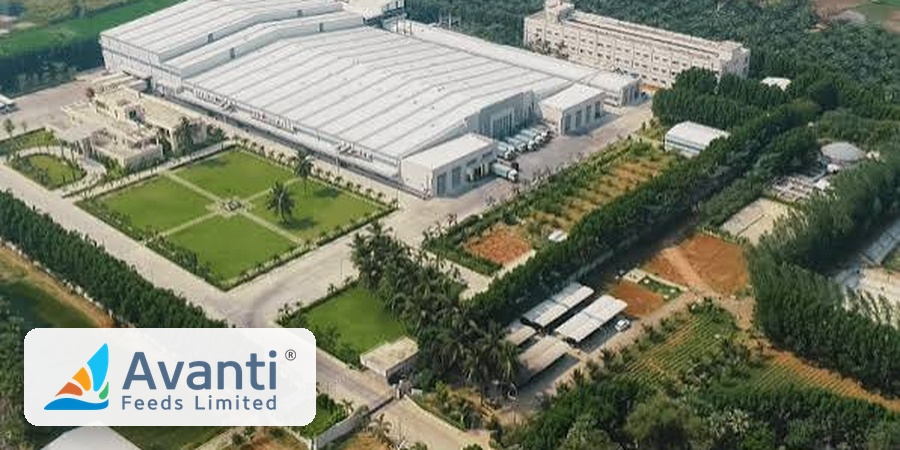 Avanti Feeds' Q1 profit falls 37% as fishmeal and soybean meal costs surge