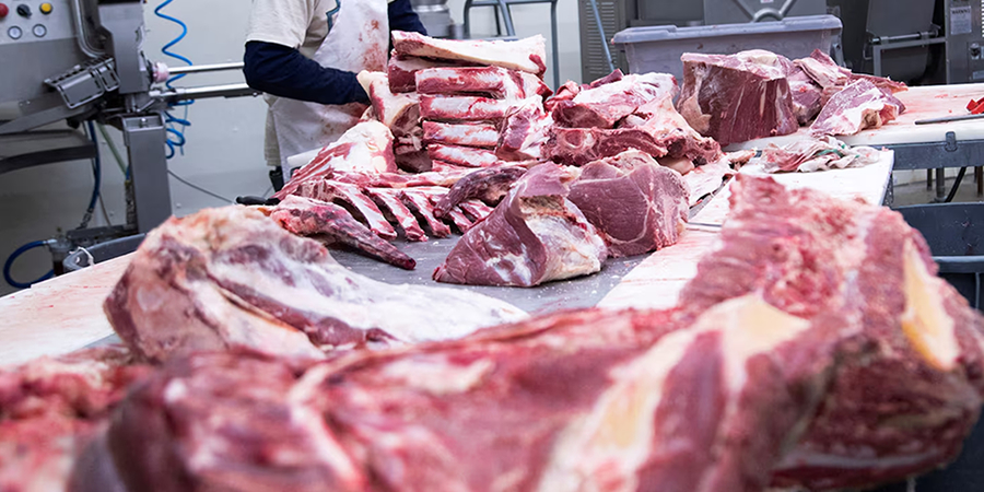 Vietnam among world's top buyers of Indian buffalo meat as export prices climb