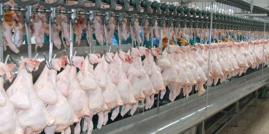 Brazil's chicken meat exports jump 29.9% in July on reopened China market