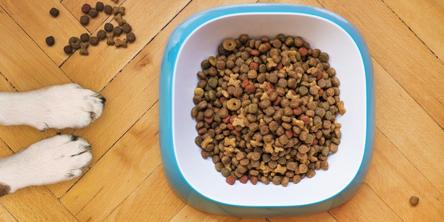 Purina to invest EUR50 million in Italy's Portogruaro pet food plant as it splits dry and wet production