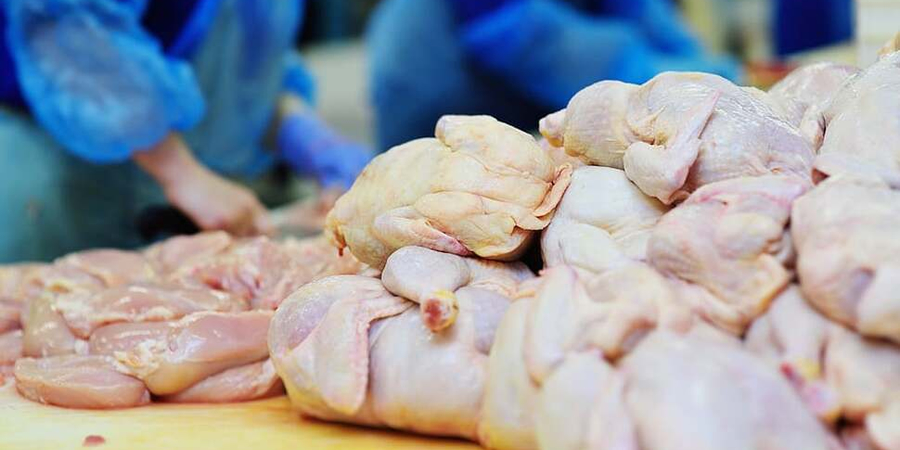 Russia's poultry ministry attributes rising chicken prices to accumulated cost correction