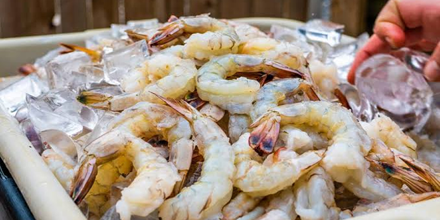 Vietnam's shrimp exports reach US$3.3 billion in eight months, China drives 35.9% growth