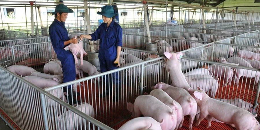 بلدية فان لانغ تعزز حماية البيئة على المستوى الشعبي