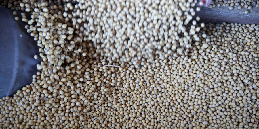 Variability Interlanguage Trouw Nutrition's FeedTechnoVision 2026 urges Asia's feed sector to ...