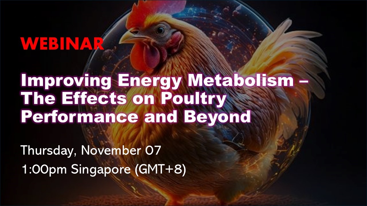 Improving Energy Metabolism – The Effects on Poultry Performance and Beyond